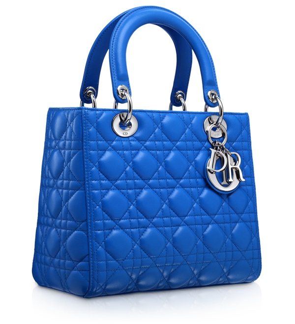 Dior handbag example